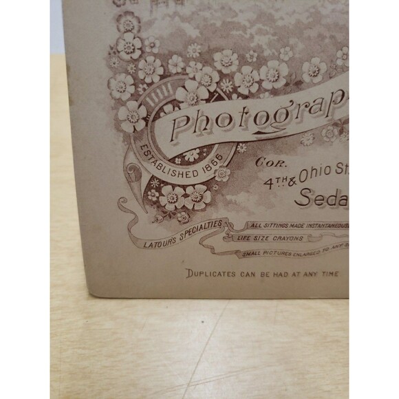 Antique Cabinet Card Photo c1880s Baby Infant LaTour Photographer Sedalia MO - Picture 7 of 15